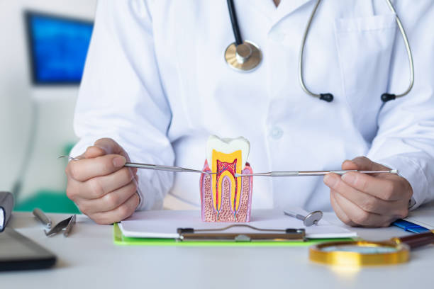 Best Emergency Dental Services Near Me  in Osceola, IN
